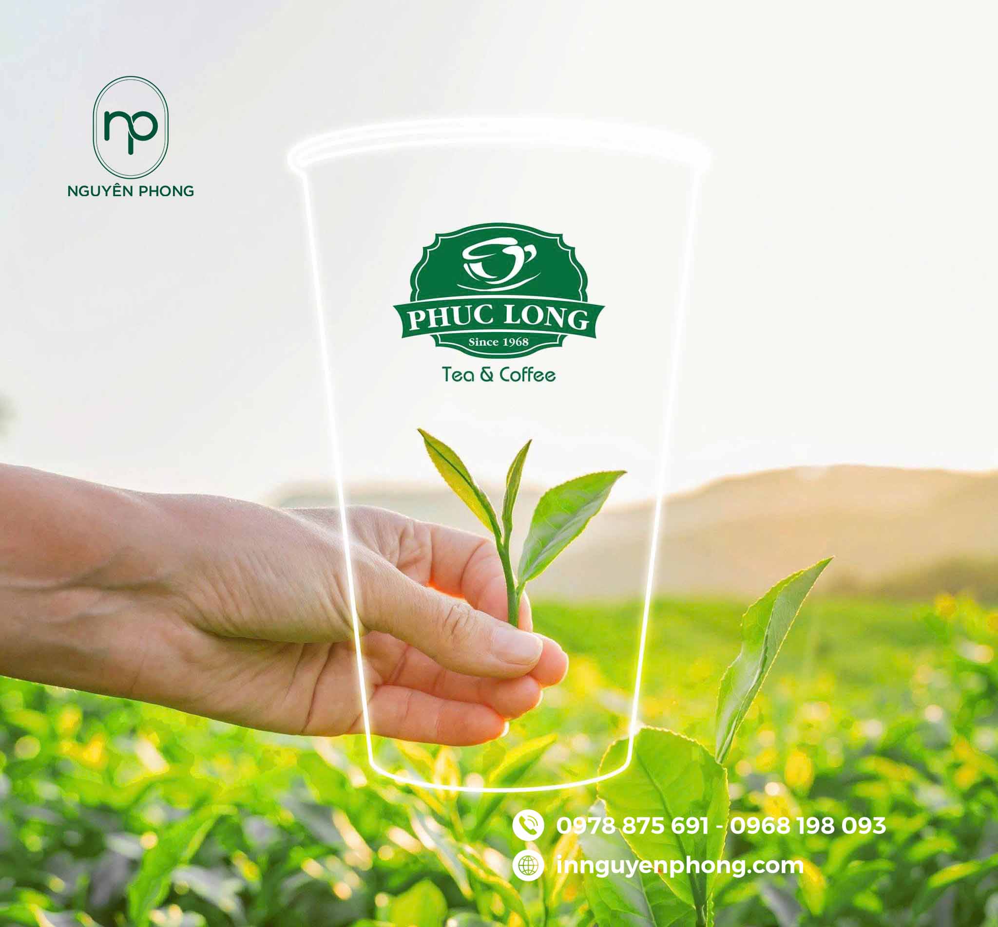 Mẫu tem decal trong